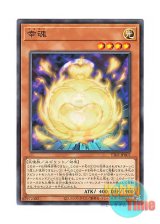 画像: 日本語版 TT02-JPB07 Sakitama 幸魂 (ノーマル)