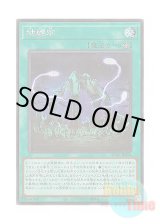 画像: 日本語版 AC03-JP024 Earthbound Prison 地縛牢 (シークレットレア)