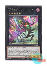 画像: 日本語版 AC04-JP023 Performage Shadow Maker Em影絵師シャドー・メイカー (シークレットレア)