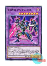 画像: 日本語版 CP17-JP026 Gladiator Beast Andabata 剣闘獣アンダバタエ (ノーマル)