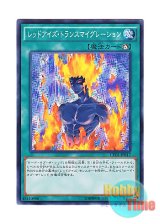 画像: 日本語版 CPD1-JP017 Red-Eyes Transmigration レッドアイズ・トランスマイグレーション (ノーマル)