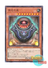 画像: 日本語版 DBPR-JP027 Pot of The Forbidden 禁忌の壺 (ノーマル)