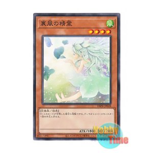 画像: 日本語版 DBPR-JP028 Spirit of the Fall Wind 裏風の精霊 (ノーマル)