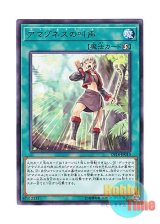 画像: 日本語版 DP18-JP010 Amazoness Call アマゾネスの叫声 (レア)