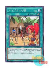 画像: 日本語版 DP18-JP014 Amazoness Village アマゾネスの里 (ノーマル)