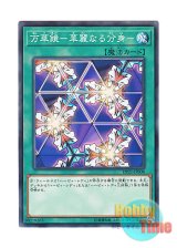 画像: 日本語版 DP21-JP008 Elegant Egotist 万華鏡－華麗なる分身－ (ノーマル)