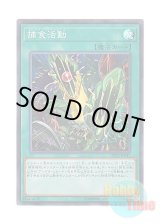 画像: 日本語版 DP22-JP047 Predapractice 捕食活動 (スーパーレア)