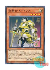 画像: 日本語版 EP19-JP047 Noble Knight Custennin 聖騎士コルネウス (ノーマル)
