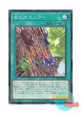 画像: 日本語版 WPP6-JP072 Insect Invitation 虫だけエリアー (ノーマル)