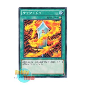 画像: 日本語版 15AX-JPM40 Salamandra サラマンドラ (ノーマル)