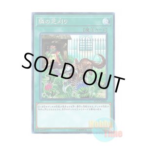 画像: 日本語版 RC02-JP041 That Grass Looks Greener 隣の芝刈り (コレクターズレア)