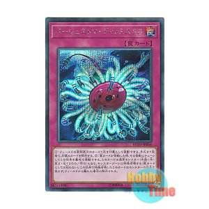 画像: 日本語版 RC03-JP046 Paleozoic Dinomischus バージェストマ・ディノミスクス (シークレットレア)