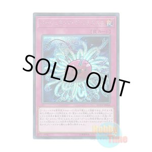 画像: 日本語版 RC03-JP046 Paleozoic Dinomischus バージェストマ・ディノミスクス (シークレットレア)