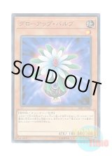 画像: 日本語版 18SP-JP302 Glow-Up Bulb グローアップ・バルブ (ノーマル)