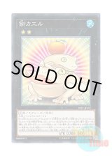 画像: 日本語版 18SP-JP407 Toadally Awesome 餅カエル (ノーマル)