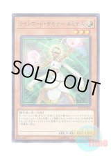 画像: 日本語版 17TP-JP203 Lumina, Lightsworn Summoner ライトロード・サモナー ルミナス (ノーマル)