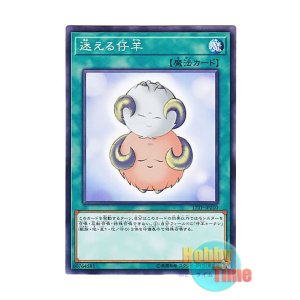 画像: 日本語版 17TP-JP210 Stray Lambs 迷える仔羊 (ノーマル)