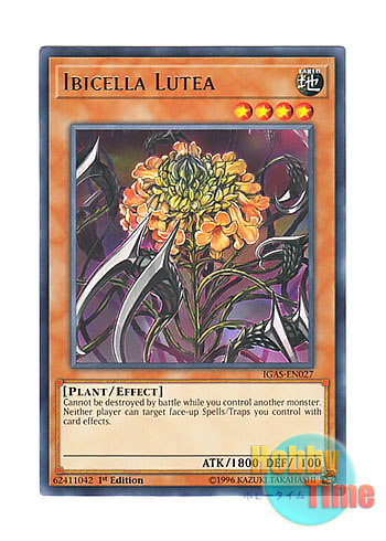 画像1: 英語版 IGAS-EN027 Ibicella Lutea イビルセラ・ルテア (レア) 1st Edition