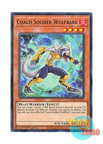 画像1: 英語版 MAGO-EN120 Coach Soldier Wolfbark 熱血獣士ウルフバーク (レア：ゴールド) 1st Edition