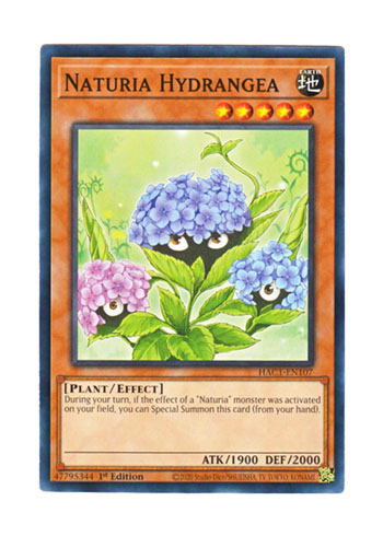 画像1: 英語版 HAC1-EN107 Naturia Hydrangea ナチュル・ハイドランジー (ノーマル) 1st Edition