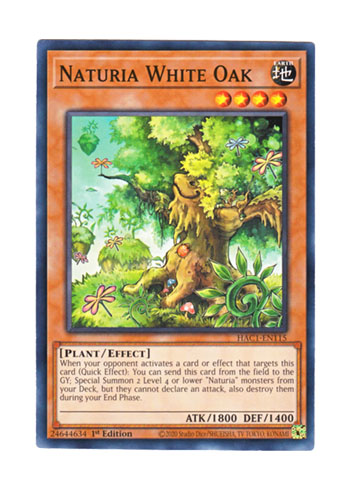 画像1: 英語版 HAC1-EN115 Naturia White Oak ナチュル・ホワイトオーク (ノーマル) 1st Edition