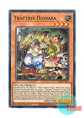 画像1: 英語版 SDBT-EN006 Traptrix Dionaea ティオの蟲惑魔 (ノーマル) 1st Edition