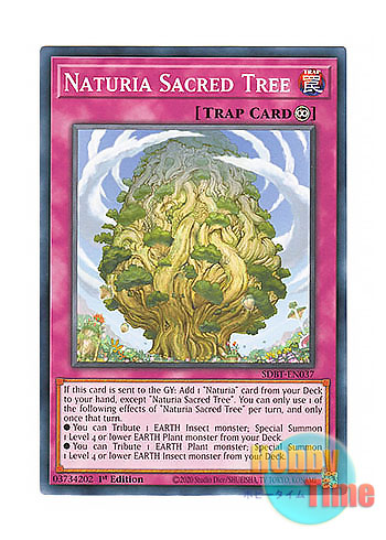 画像1: 英語版 SDBT-EN037 Naturia Sacred Tree ナチュルの神星樹 (ノーマル) 1st Edition