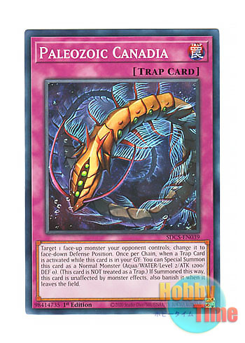 画像1: 英語版 SDCS-EN039 Paleozoic Canadia バージェストマ・カナディア (ノーマル) 1st Edition