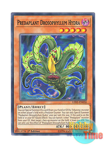 画像1: 英語版 LED5-EN050 Predaplant Drosophyllum Hydra 捕食植物ドロソフィルム・ヒドラ (ノーマル) 1st Edition