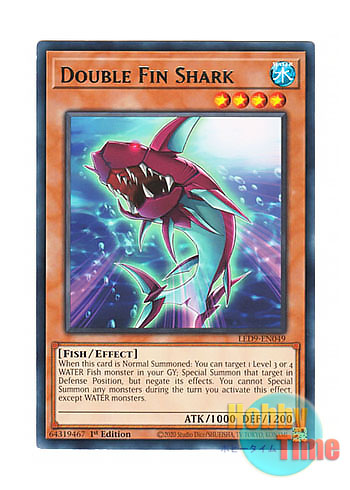 画像1: 英語版 LED9-EN049 Double Fin Shark ダブルフィン・シャーク (レア) 1st Edition