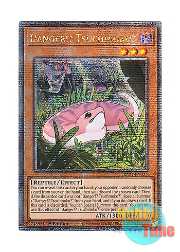 画像1: 英語版 RA04-EN027 Danger!? Tsuchinoko? 未界域のツチノコ (クォーターセンチュリーシークレットレア) 1st Edition