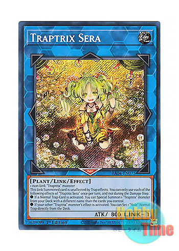 画像1: 英語版 RA04-EN075 Traptrix Sera セラの蟲惑魔 (シークレットレア) 1st Edition