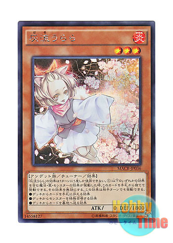 画像1: 日本語版 MACR-JP036 Ash Blossom & Joyous Spring 灰流うらら (シークレットレア)