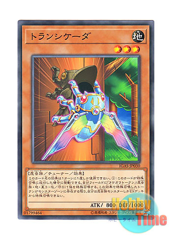 画像1: 日本語版 IGAS-JP030 Transcicada トランシケーダ (ノーマル)